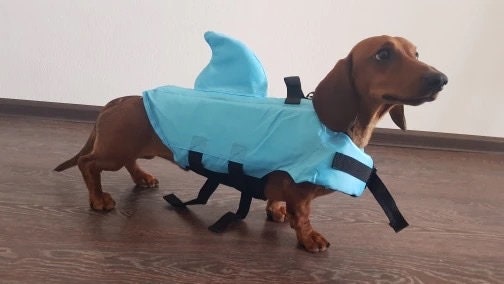 Hunde Schwimmweste SHARKY - mit Haiflosse 1 St 