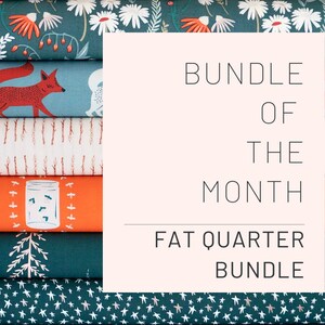 Fat Quarter Fabric Bundle of the Month Subscription Club Fabric Subscription Box Quilting Gifts for Women Mother's Day Gift for Her image 8