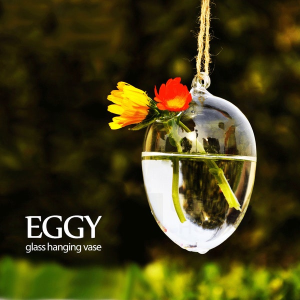 Handmade Gift Glass Hanging Vase Flower / Plant Vase Pot - Eggy Unihom