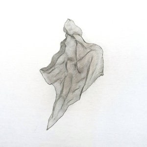 May include: A draped, abstract sculpture made of a fine, dark gray mesh material. The form is irregular, with folds and curves, and appears to be suspended against a white background. The mesh allows light to pass through, creating shadows.