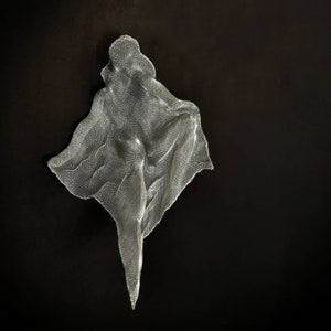 May include: A silver-colored, abstract metal sculpture against a dark background. The sculpture appears to be made of a mesh material, with a draped, flowing form. The piece has a unique, artistic design, and is likely a wall hanging or decorative art piece.