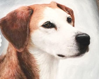 CUSTOM PET PORTRAIT - dog portrait painting, Cat portrait painting, rabbit portrait painting, commission pet portrait, hand painted portrait
