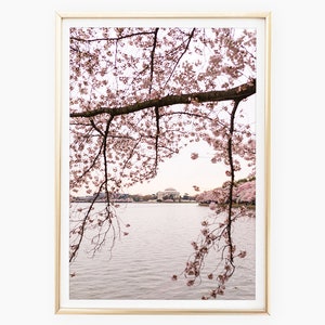 Jefferson Memorial Print, Cherry Blossom Photography, Washington DC Art, DC Cherry Blossom Art, Printable Photo, Instant Download, Wall Art