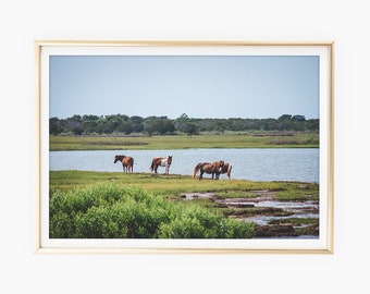 Wild Horse Wall Art, Wild Ponies Print, Chincoteague Island Prints, Marsh Island Horse Picture, Assateague Printable Photo, Instant Download