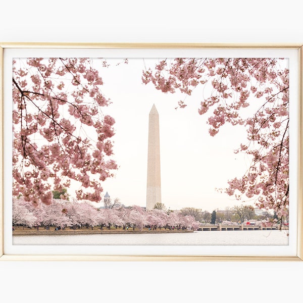 Washington Monument Cherry Blossom Print, Washington DC Art, Fotografia primavera, DC Cherry Blossom Art, Foto stampabile, Download istantaneo