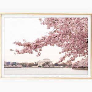 ジェファーソン記念館のプリント、桜の写真、ワシントン DC のアート、DC の桜のアート、印刷可能な写真、即時ダウンロード、ウォール アート