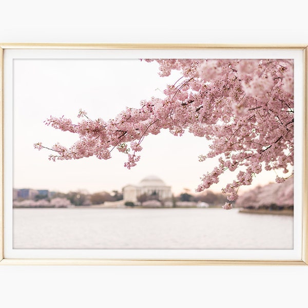 Jefferson Memorial Print, Cherry Blossom Photography, Washington DC Art, DC Cherry Blossom Art, Printable Photo, Instant Download, Wall Art