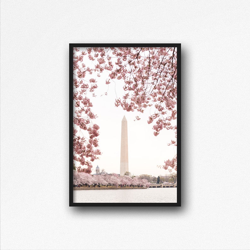 Washington Monument Prints, Cherry Blossom Photography, Washington DC Art, DC Cherry Blossom Wall Art, Printable Photo, Instant Download image 4