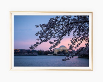 Sunrise Cherry Blossom Print, Washington DC Art, Jefferson Memorial Photography, DC Cherry Blossom Art, Printable Photo, Instant Download
