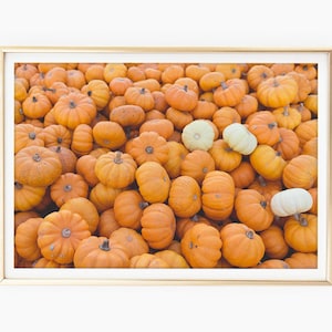 Pumpkin Photo Download, Gourds, Pumpkin Print, Orange Fall Decor, Autumn Wall Art, Pumpkin Photography, Pumpkin Art Printable, Poster
