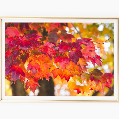 Autumn Tree Landscape Wall Art Print Instant Download Fall Etsy