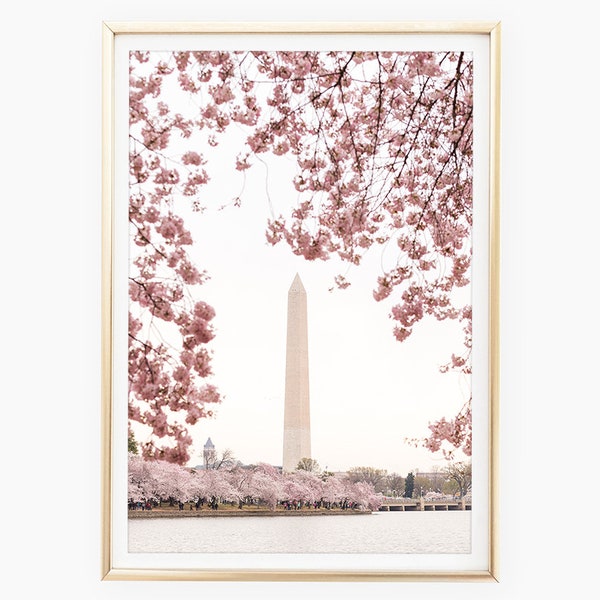 Stampe del monumento a Washington, fotografia di fiori di ciliegio, arte di Washington DC, arte della parete di fiori di ciliegio DC, foto stampabile, download istantaneo