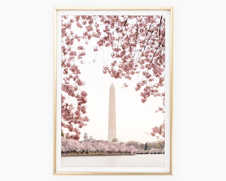 Washington Monument Prints, Cherry Blossom Photography, Washington DC Art, DC Cherry Blossom Wall Art, Printable Photo, Instant Download image 1