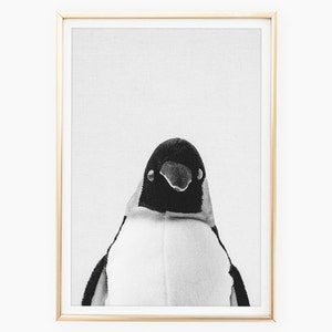 Penguin Print, Zoo Nursery Decor, Kids Room Baby Animal Poster, Large Printable Poster, Modern Minimalist, Babies Room Penguin Art, Download