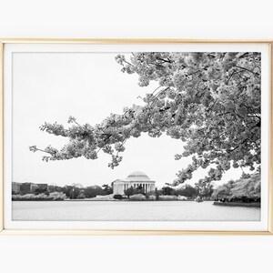 Jefferson Memorial Print, Black & White, Cherry Blossom Photography, Washington DC, Cherry Blossom Art, Printable Photo, Instant Download