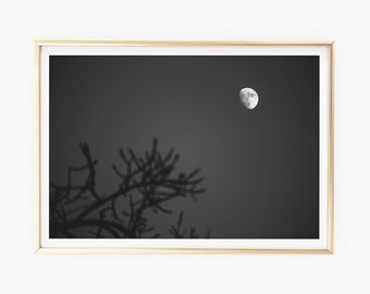 Moon Print, Black Moon Photography, Moonrise Art, Astrophotography, Night Art, Nighttime Photo, Outer Space Printable Art, Instant Download