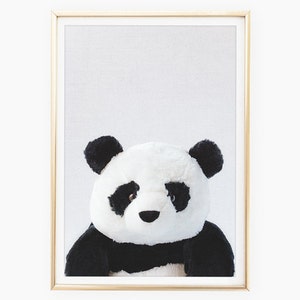 Baby Panda Prints, Panda Bear Wall Art, Baby Shower Gift, Zoo Nursery Decor, Nursery Animal Print, Printable Zoo Animal, Digital Download