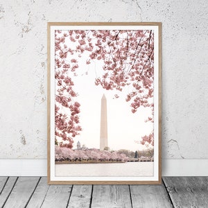 Washington Monument Prints, Cherry Blossom Photography, Washington DC Art, DC Cherry Blossom Wall Art, Printable Photo, Instant Download image 2