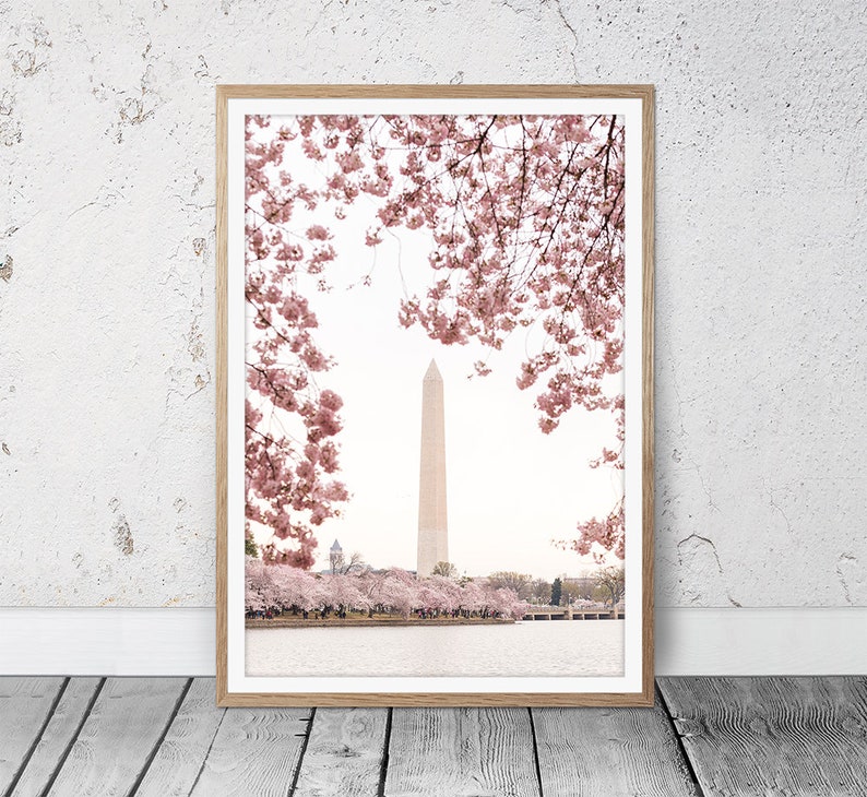 Washington Monument Prints, Cherry Blossom Photography, Washington DC Art, DC Cherry Blossom Wall Art, Printable Photo, Instant Download image 2