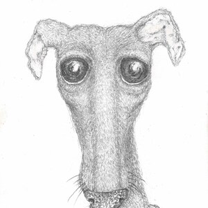 GREYHOUND - Originele tekening