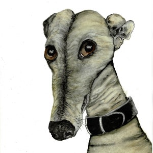 GREYHOUND - A4 - Origineel schilderij