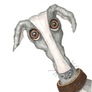 TARJETA DE FELICITACIÓN -GREYHOUND