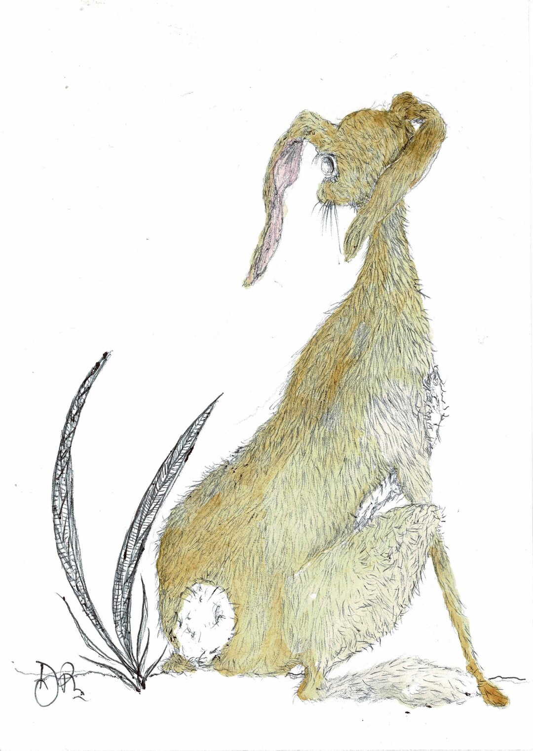 LITTLE HARE Original Watercolour and Mixed Media - Etsy