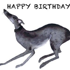 WENSKAART - Gelukkige Verjaardag - Windhond