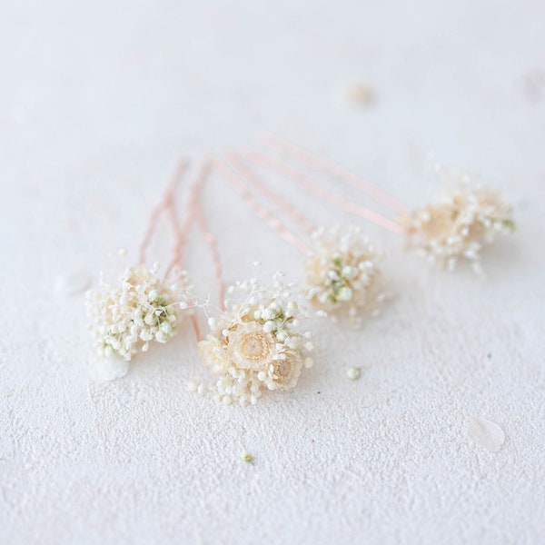 Braut Haarschmuck Haarblumen mit Trockenblumen und Schleierkraut. Haarnadel mit Blüten. Hochzeit Brauthaarschmuck. Blumen Haarspangen