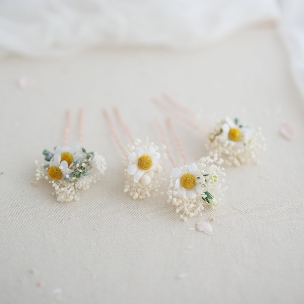 Braut Haarschmuck Haarblumen mit Gänseblümchen und echten Schleierkraut. Haarnadel mit Blüten. Hochzeit Brauthaarschmuck.Blumen Haarspangen 