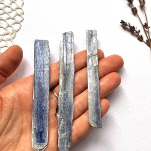 May include: Three blue kyanite crystal points, also known as blue kyanite sticks, are held in a hand. The crystals are smooth and have a light blue color.