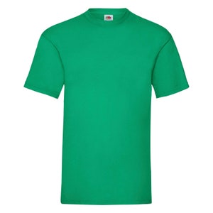 May include: A plain green t-shirt with short sleeves and a crew neck.