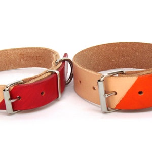 Personalized leather dog collar, Engraved Dog Collar, colourful dog collar, chemical free, dog gift, chrome free, Vegetable tanned leather image 9