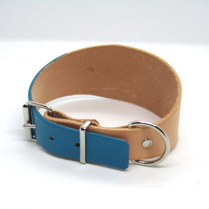 May include: A dog collar with a natural tan leather interior and a vibrant teal blue exterior. The collar features a silver-colored metal buckle and a D-ring for leash attachment. The collar is designed for comfort and durability.