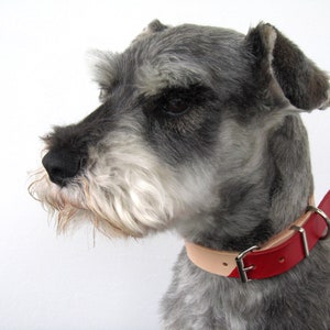Collar de cuero personalizado para perros, collar de perro grabado, collar de perro colorido, sin químicos, regalo para perros, sin cromo, cuero curtido vegetal