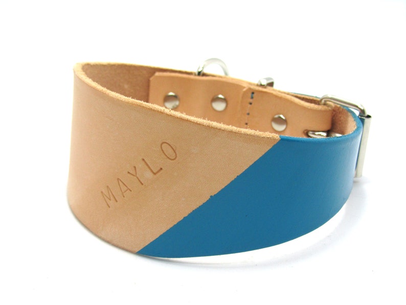 May include: A leather dog collar with a natural tan and teal blue color block design. The word "MAYLO" is embossed on the tan portion. The collar has a metal buckle and D-ring.