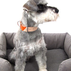 Collar de cuero personalizado para perros, collar de perro grabado, collar de perro colorido, sin químicos, regalo para perros, sin cromo, cuero curtido vegetal