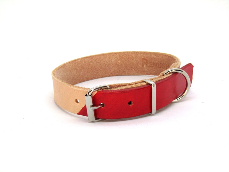 Personalized leather dog collar, Engraved Dog Collar, colourful dog collar, chemical free, dog gift, chrome free, Vegetable tanned leather image 6