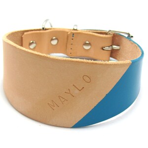May include: A wide dog collar made of tan leather with a diagonal section painted in blue. The word "MAYLO" is embossed on the tan leather. The collar has a metal buckle and a D-ring for leash attachment.