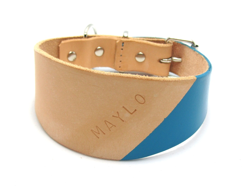 May include: A wide dog collar made of tan leather with a diagonal section painted in blue. The word "MAYLO" is embossed on the tan leather. The collar has a metal buckle and a D-ring for leash attachment.