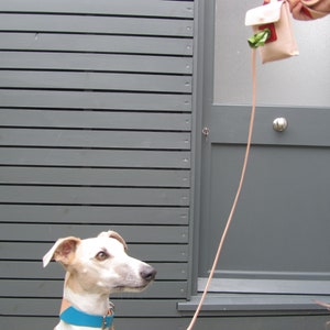 Personalized handmade Two-Tone Leather Dog Collar: Whippet, Greyhound, Lurcher engraved name possible. image 5