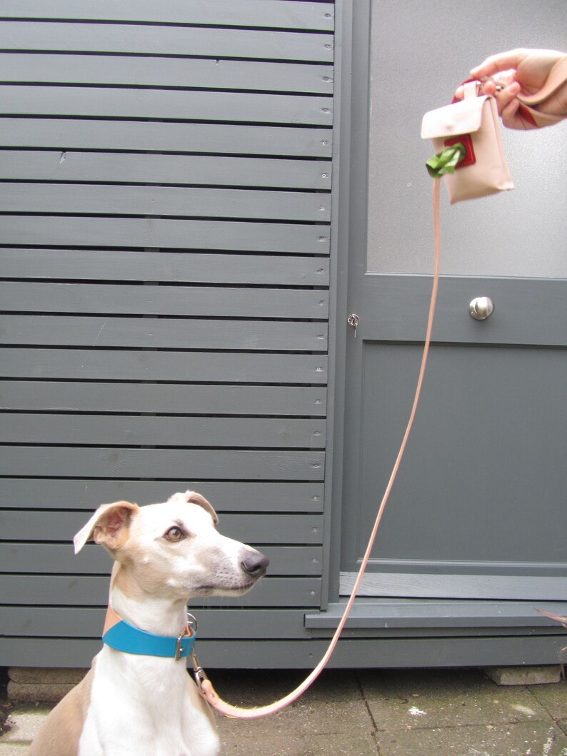 Personalized handmade Two-Tone Leather Dog Collar: Whippet, Greyhound, Lurcher engraved name possible. image 5