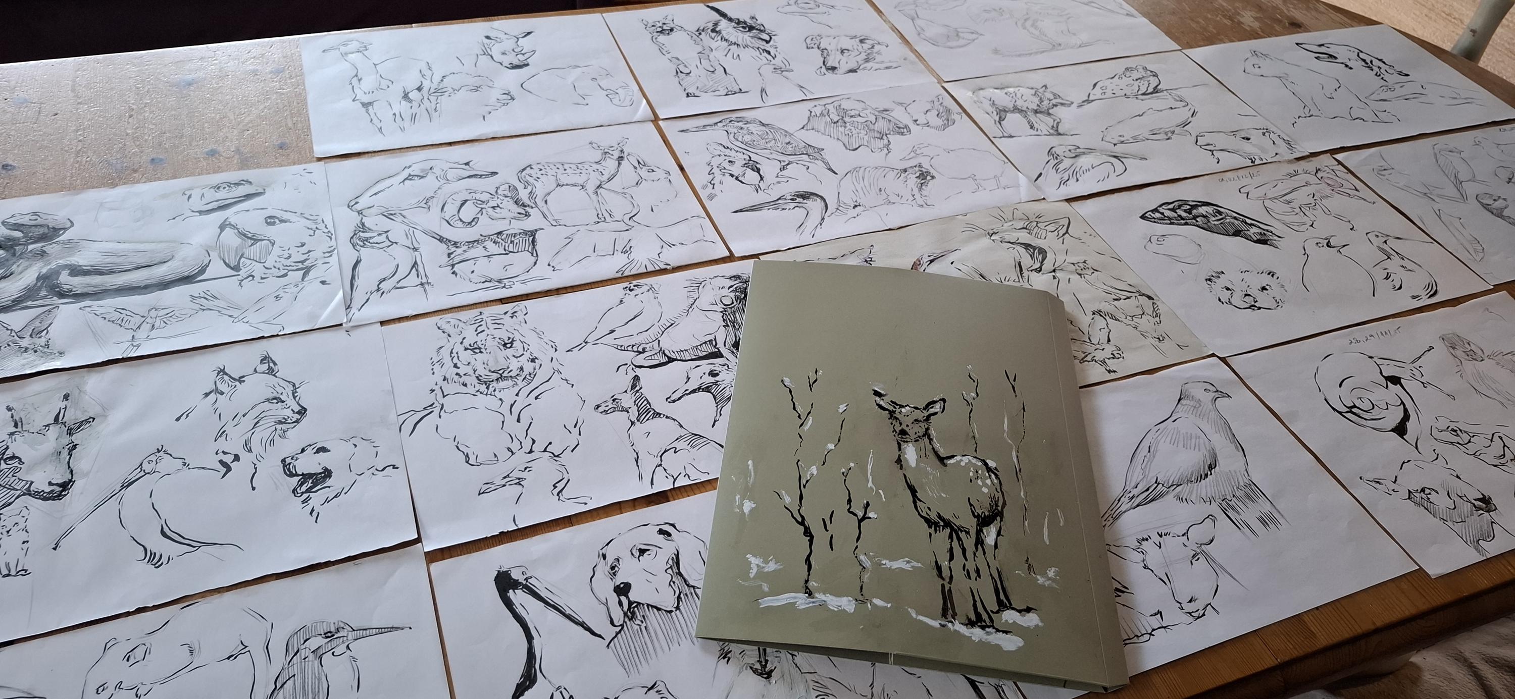 SALE - 10% off - Animal Sketchbook - 19 Original Sketches on Recycled Paper