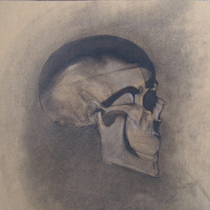 Disegno originale a carbone teschio su carta straccia marrone Originale - 13." x 12.3" - 33 x 31.3 cm