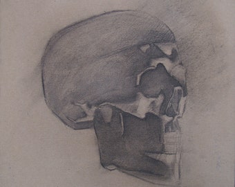 Disegno originale a carboncino del teschio – Arte anatomica (13,1x13,7)