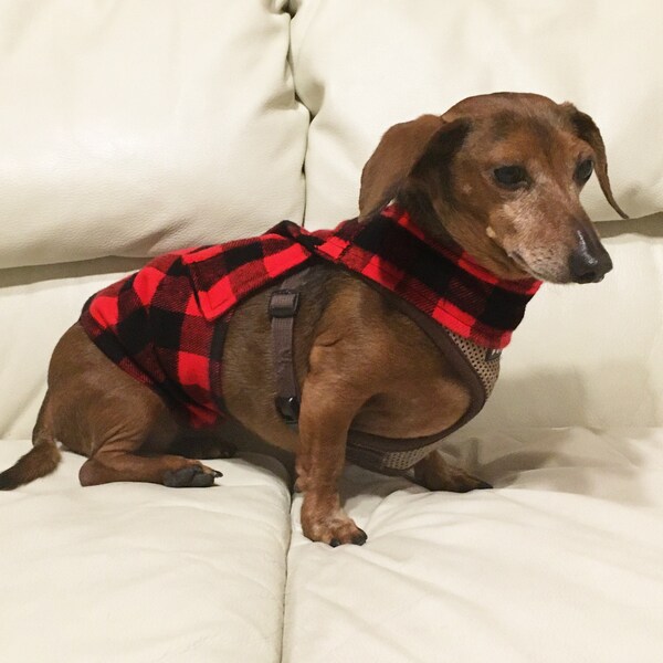 Belly Band for Dogs Etsy