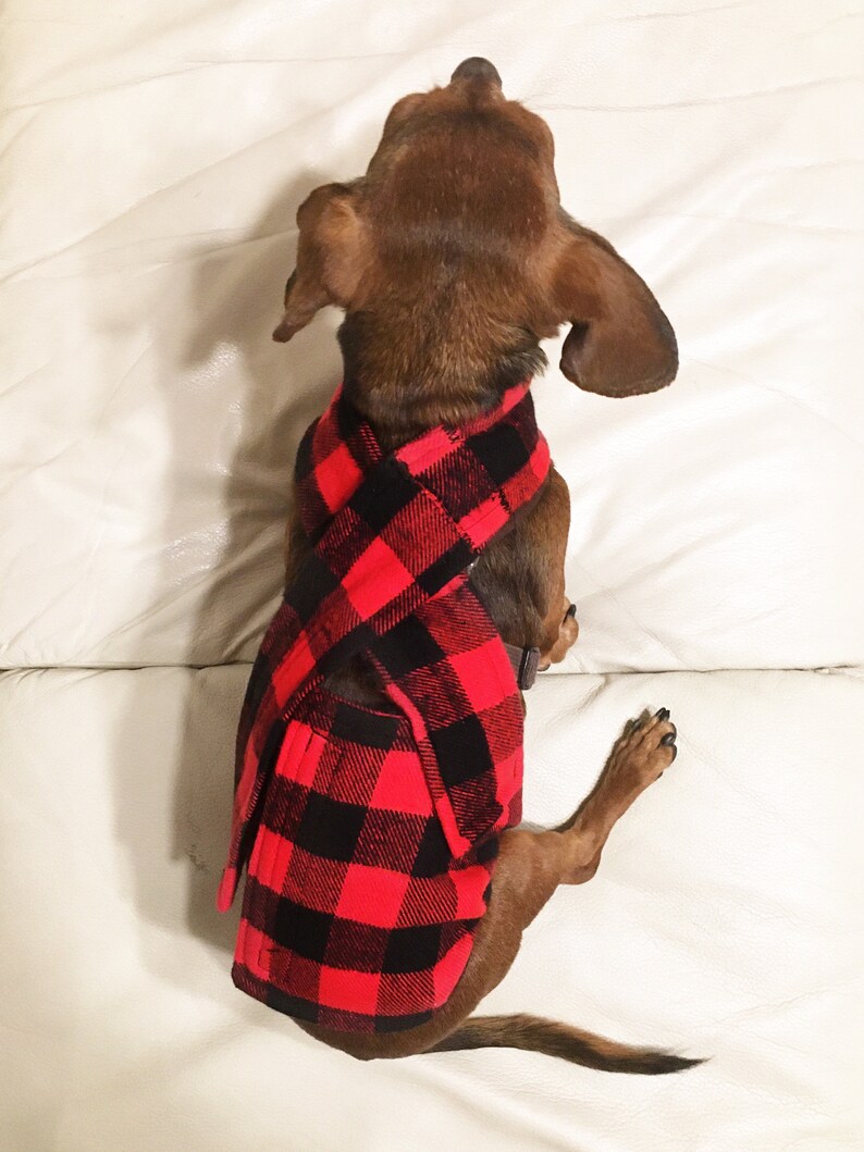 Belly Band for Potty Training Dogs and Puppies Etsy