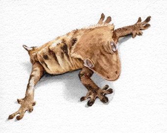 Impresiones de acuarela Gecko