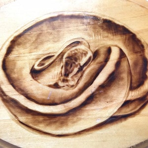 Può includere: Un'immagine di un serpente arrotolato su una placca di legno, bruciata a legno. Il serpente è marrone e nero ed è in posizione arrotolata.