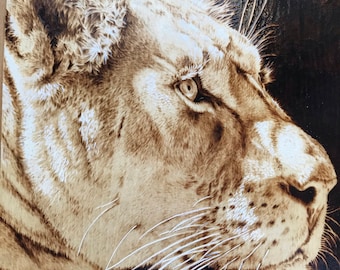 Hand-Burned Lioness on Bark-Rimmed Basswood